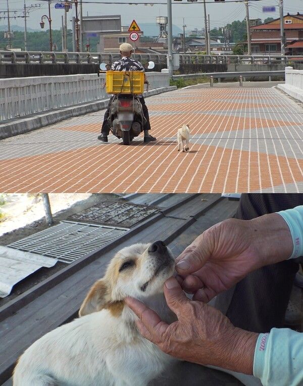 아롱이의 보은, 박씨 대신 ‘이것’을 물어온다사진=TV동물농장