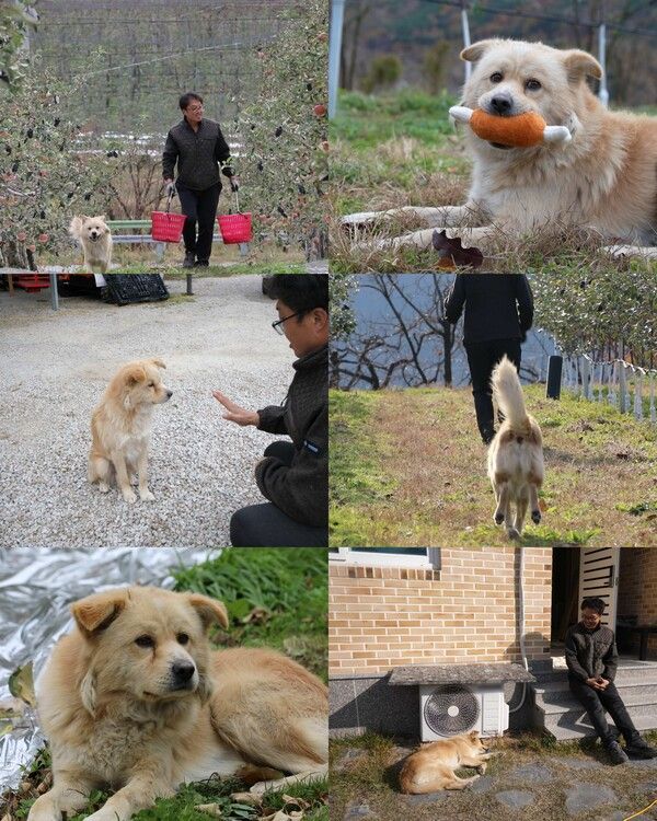 사진=TV동물농장