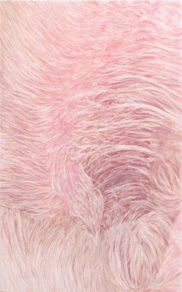 oil on canvas, 33.4×53cm, 2024