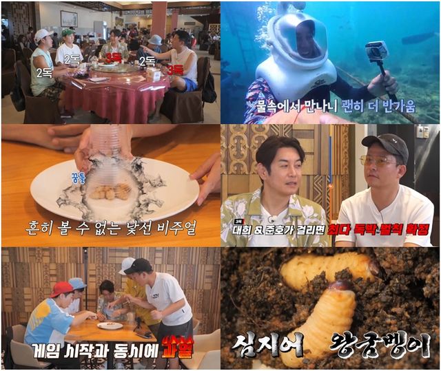 '독박즈'들이 굼벵이를 먹을 최다 독박자 선정에 나서나. 사진='독박투어3'
