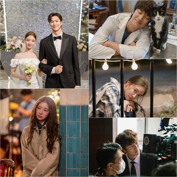 사진=모텔 캘리포니아