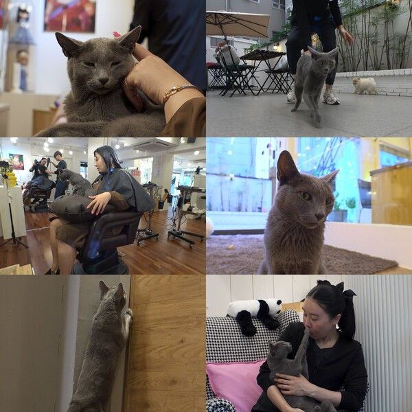 사진=TV 동물농장