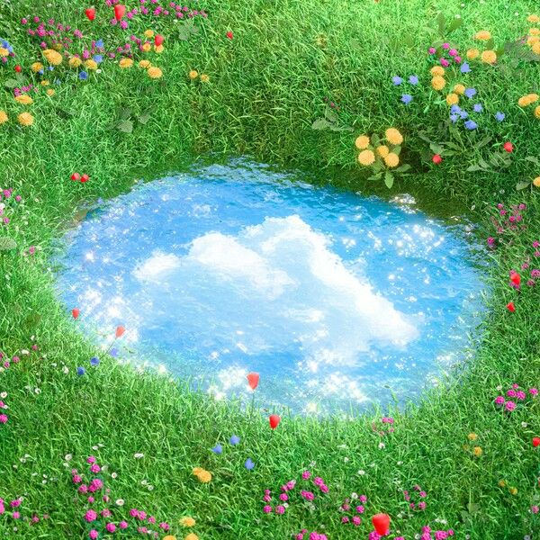 사진=FNC엔터테인먼트