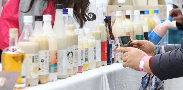 막걸리. 사진=연합뉴스