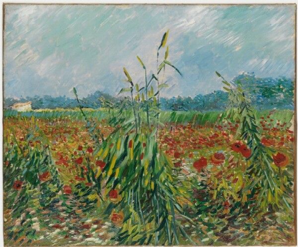 반 고흐의 ‘밀밭의 양귀비’. 사진=이엔에이파트너스