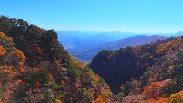 写真=KBS Screen Album - The Mountain