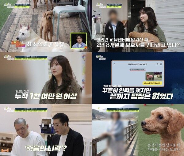 사진=탐정들의 영업비밀