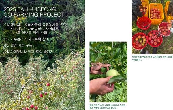 의성 사과농장 텀블벅 프로젝트 이미지. (사진제공=파머투비)