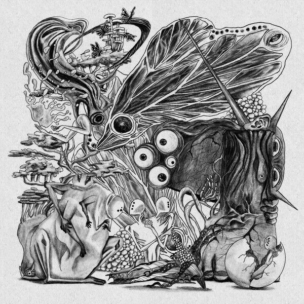 솔루션스. 사진=엠피엠지 뮤직(MPMG MUSIC)