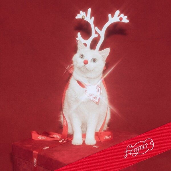 프로미스나인. 사진=어센드