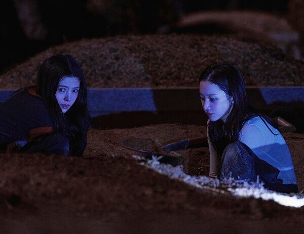 映画『Project Y』。写真=プラスエムエンターテインメント