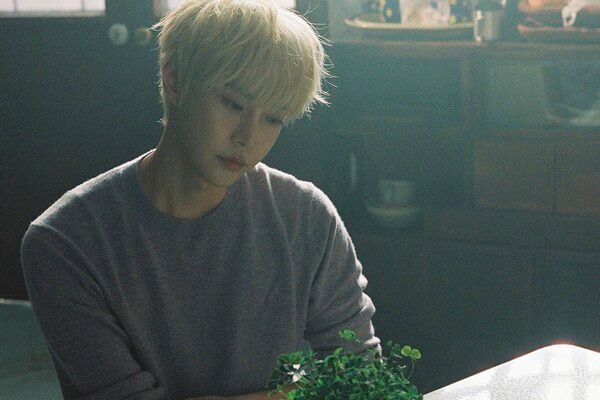 도영. 사진=SM엔터테인먼트