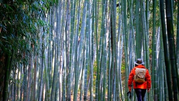 &nbsp;写真=映像アルバム 山