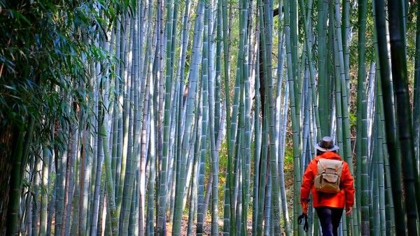 사진=영상앨범 산