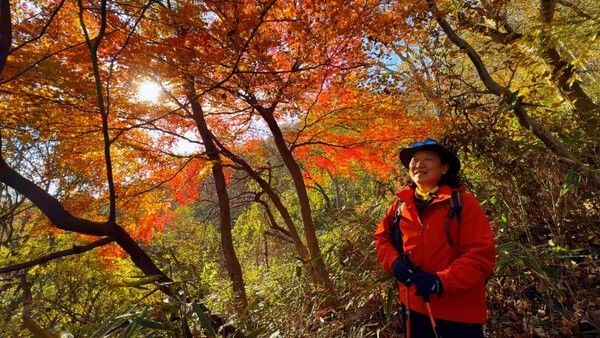 &nbsp;写真=映像アルバム 山