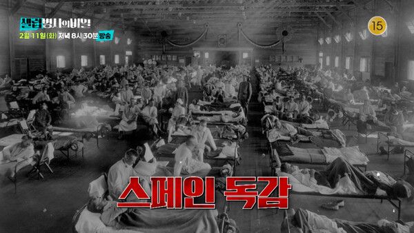 사진=셀럽병사의 비밀