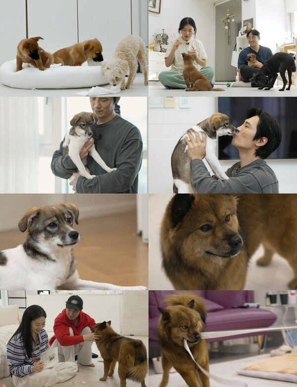 사진=TV동물농장