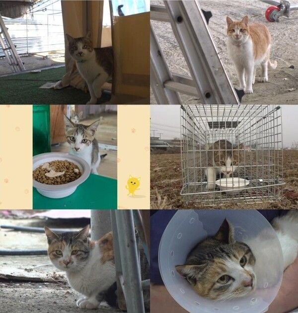 사진=TV 동물농장