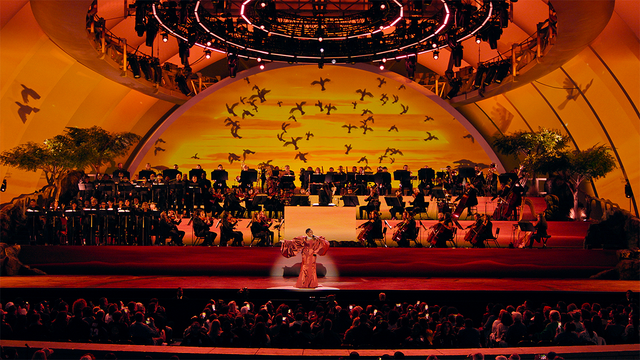 '라이온 킹 할리우드 볼'. 사진=디즈니+