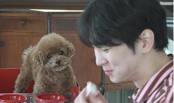 사진=나 혼자 산다