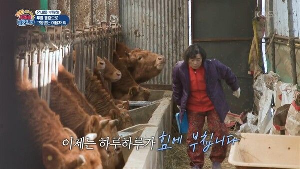 사진=굿모닝 대한민국