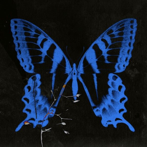 2024년 발매한 송소희 첫 EP '공중무용' 앨범 커버. 사진=매직스트로베리사운드