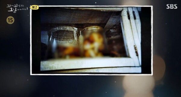 사진=꼬리에 꼬리를 무는 그날 이야기