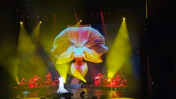 사진=콘텐츠진흥원