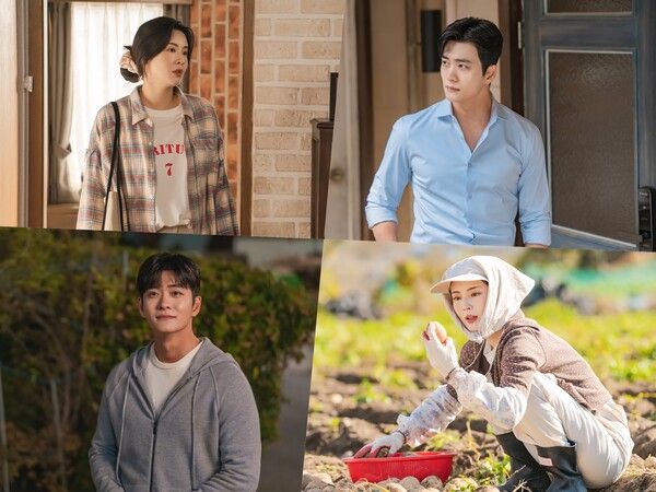 사진=감자연구소