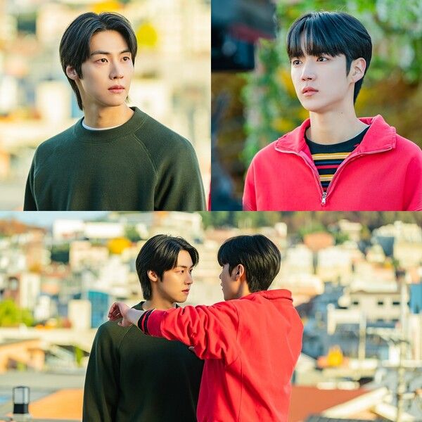 사진=사계의 봄