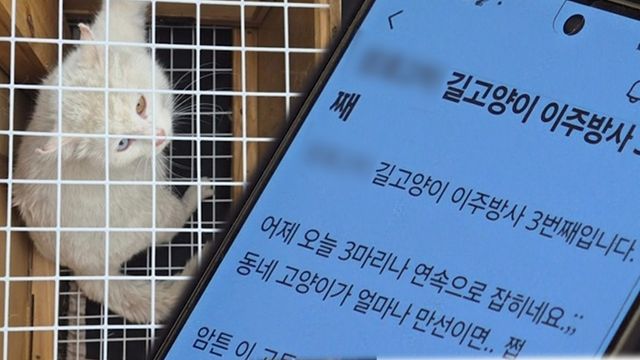 '궁금한 이야기 Y'. 사진=SBS