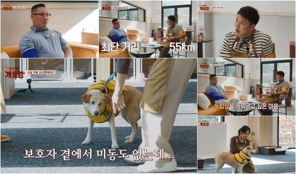 사진=집 나가면 개호강