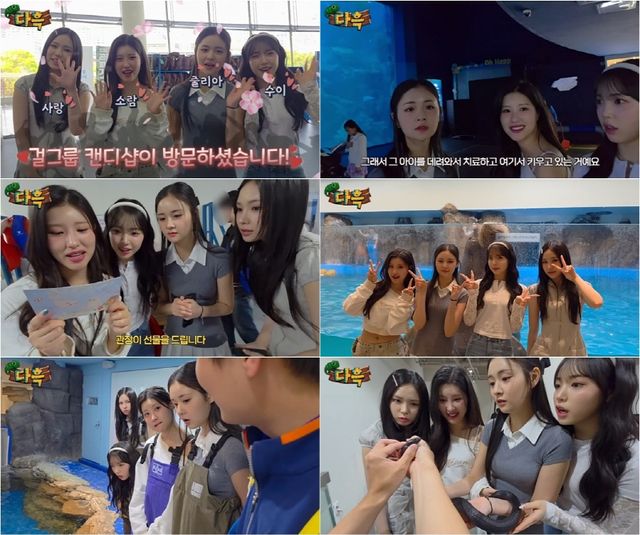 캔디샵. 사진=유튜브 '다흑' 캡처