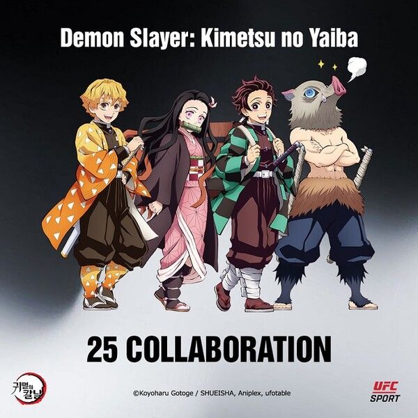 사진=UFC 스포츠