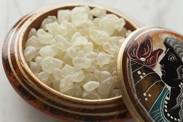 사진=그리스 전국 농업협동조합 연합회