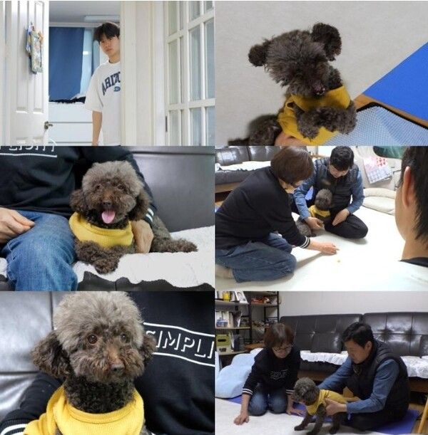 사진=TV동물농장