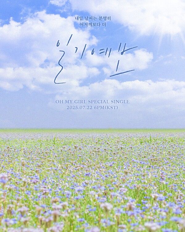 사진=RBW, WM엔터테인먼트