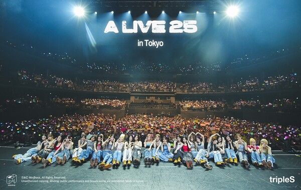 트리플에스. 사진=모드하우스