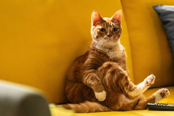 '좀비딸'. 사진=NEW