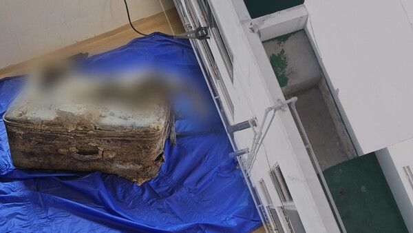 사진=그것이 알고 싶다