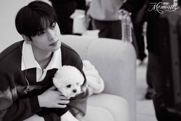 ‘차은우 VR 콘서트 : 메모리즈’. 사진=AMAZE