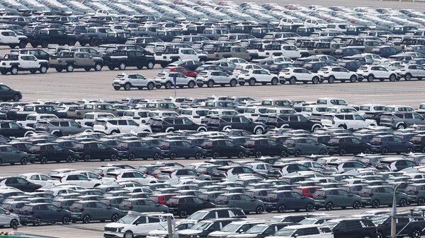 경기도 평택항에 수출용 자동차가 세워져 있다. 사진=연합뉴스