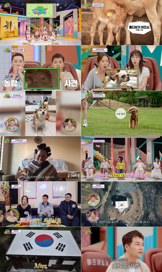 '와! 진짜? 세상에 이런일이'. 사진=SBS