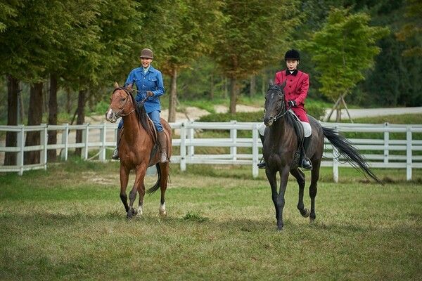 '애마'. 사진=넷플릭스