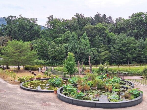 사진=국립수목원