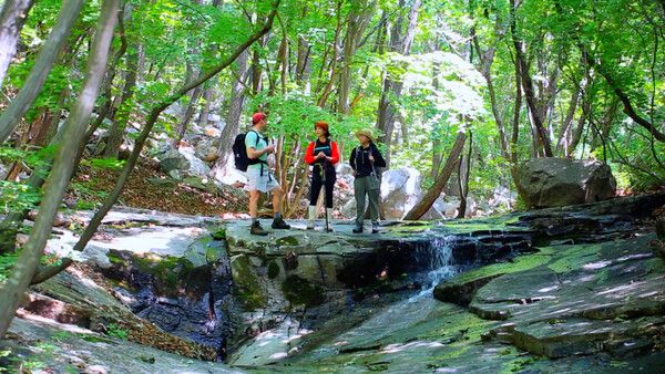 사진=영상앨범 산