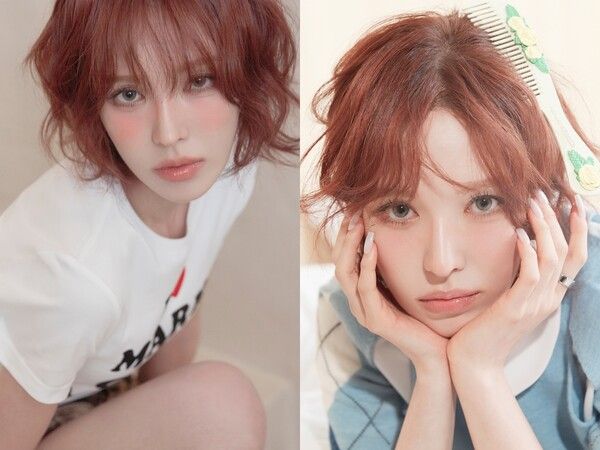 웬디. 사진=어센드