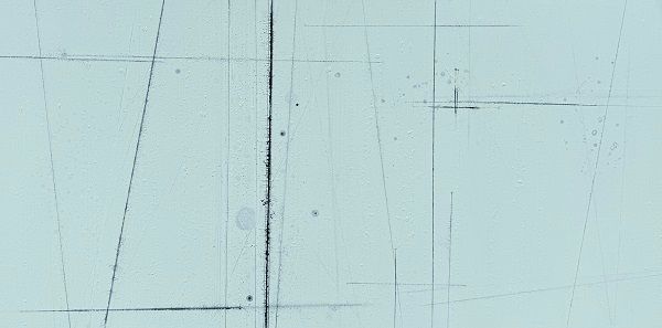 공존, Acrylic on canvas, 193.9×130.3cm, 2025