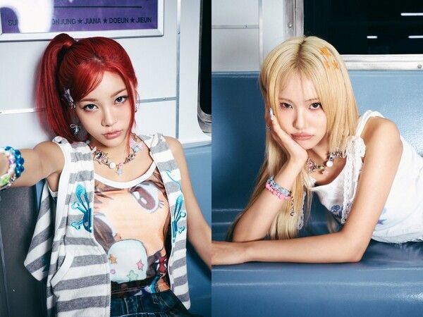 사진=RBW, DSP미디어, 비츠엔터테인먼트