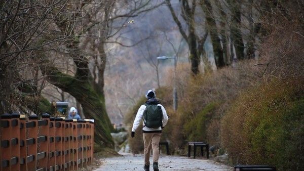 写真=映像アルバム 山